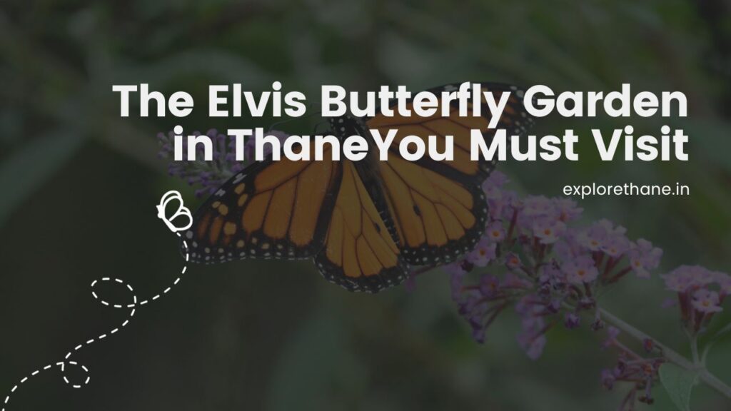 The Elvis Butterfly Garden in Thane